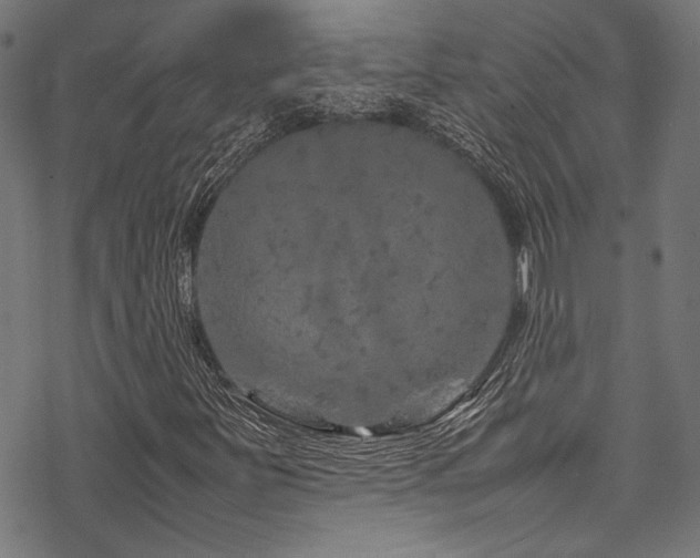 X0000070191251200605261149