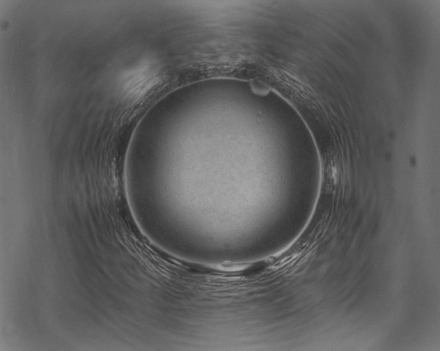 X0000070191252200605261149