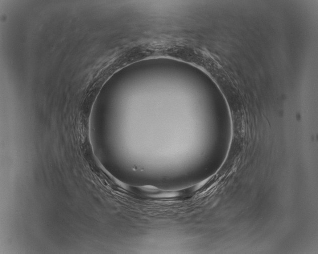 X0000070191253200605261149