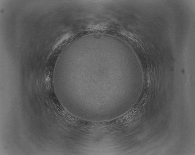 X0000070191254200605261149