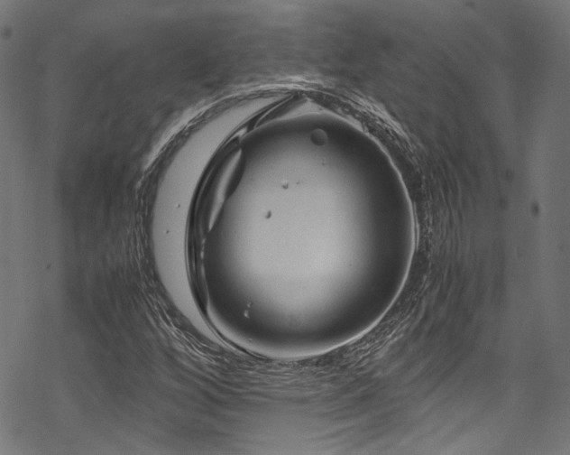 X0000070191256200605261149