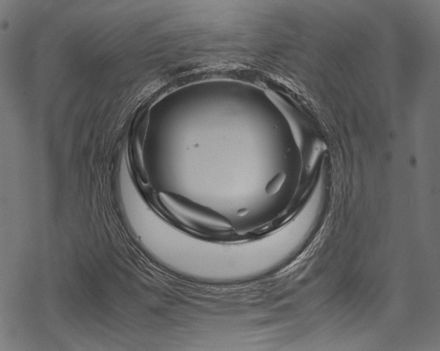 X0000070191257200605261149