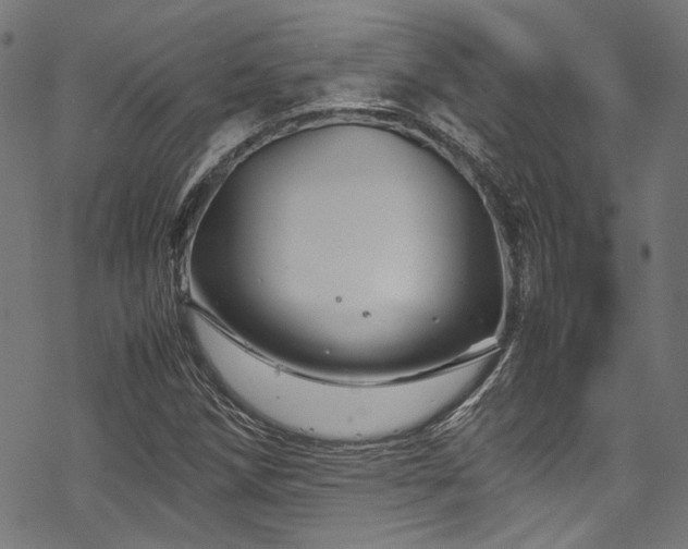 X0000070191258200605261149