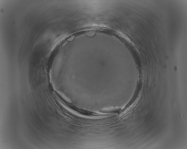 X0000070191259200605261149