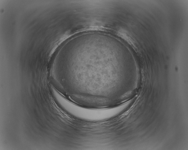 X0000070191260200605261149