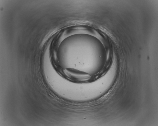 X0000070191261200605261149