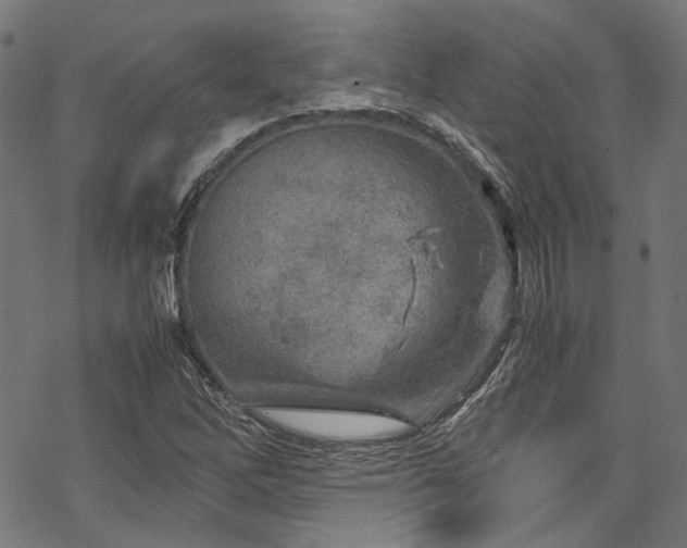 X0000070191262200605261149