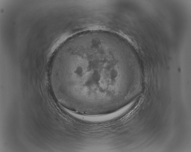 X0000070191263200605261149