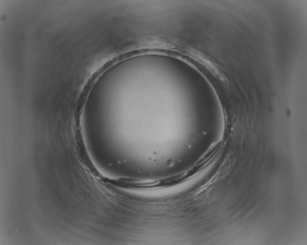 X0000070191264200605261149