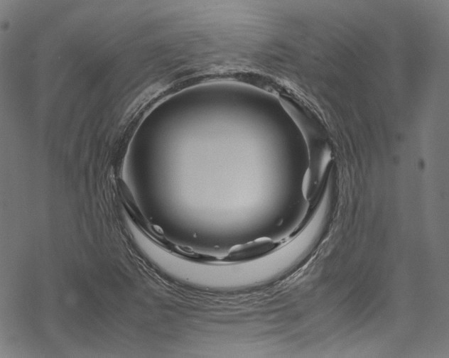 X0000070191265200605261149