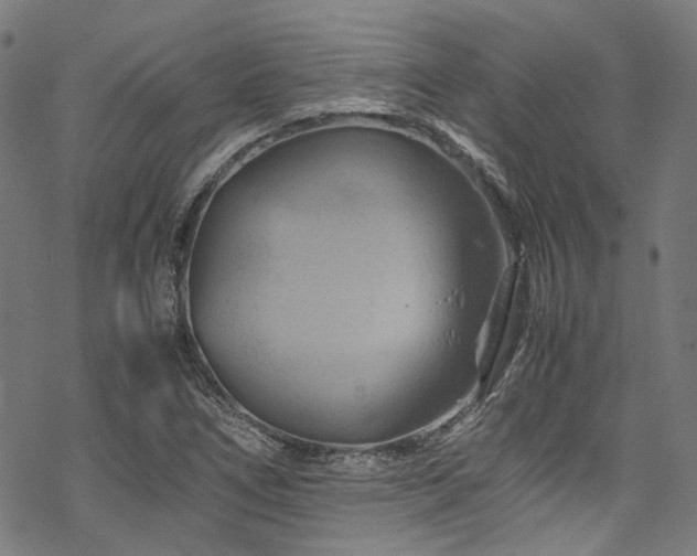 X0000070191266200605261148