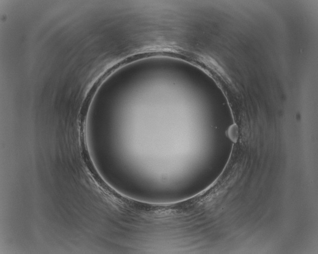 X0000070191268200605261148