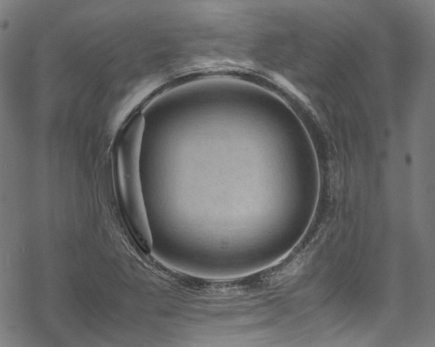 X0000070191269200605261148