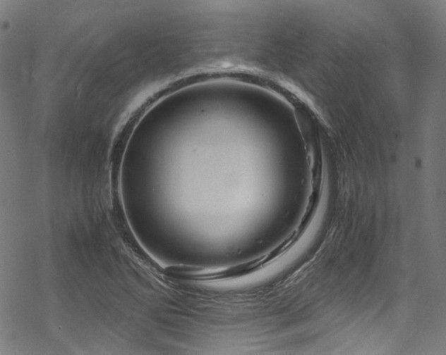 X0000070191270200605261148