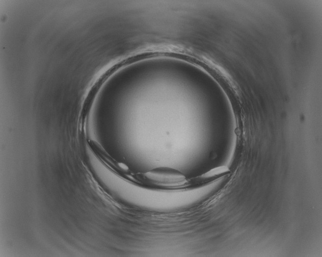 X0000070191272200605261148