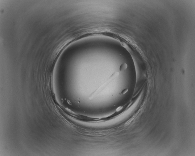 X0000070191273200605261148