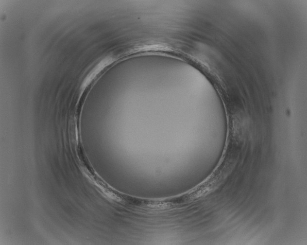 X0000070191274200605261148