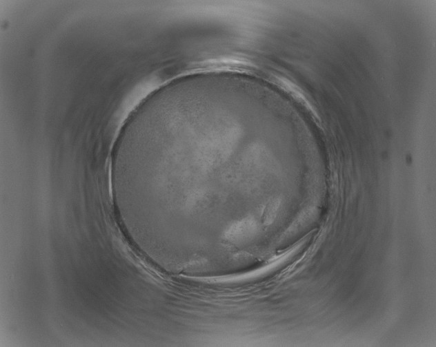 X0000070191275200605261148