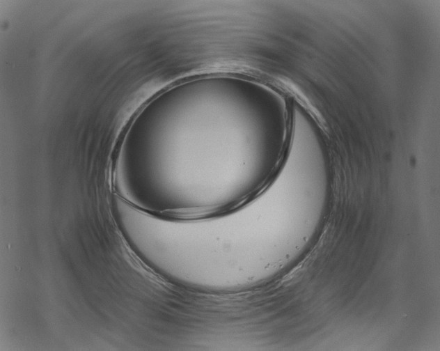 X0000070191276200605261148