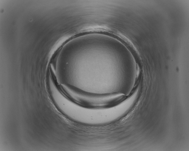 X0000070191277200605261148