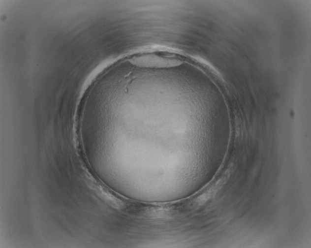 X0000070191278200605261148