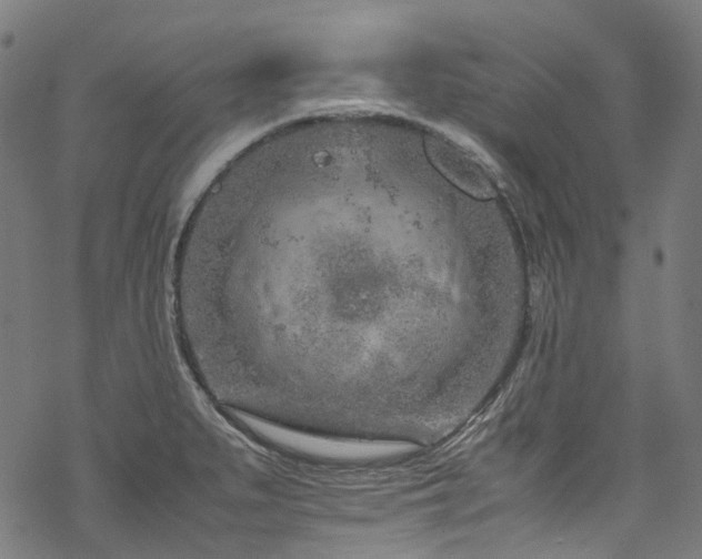 X0000070191279200605261148