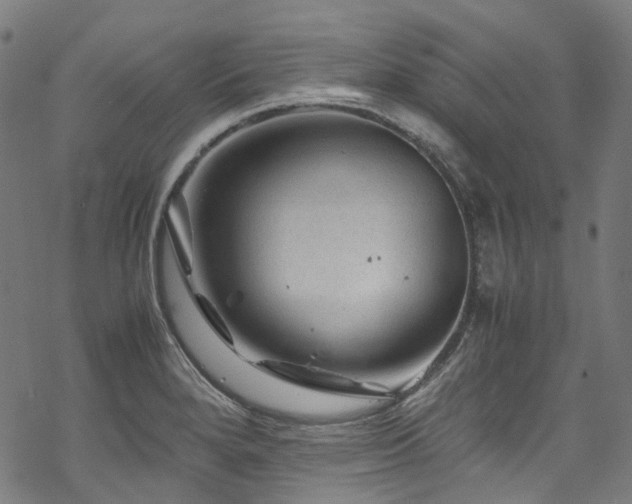 X0000070191280200605261148