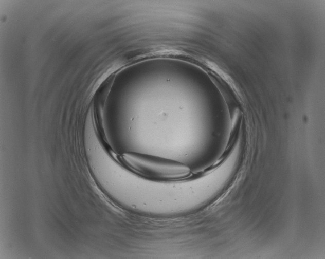 X0000070191281200605261148