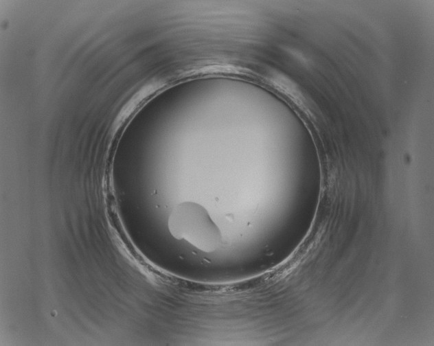 X0000070191282200605261148