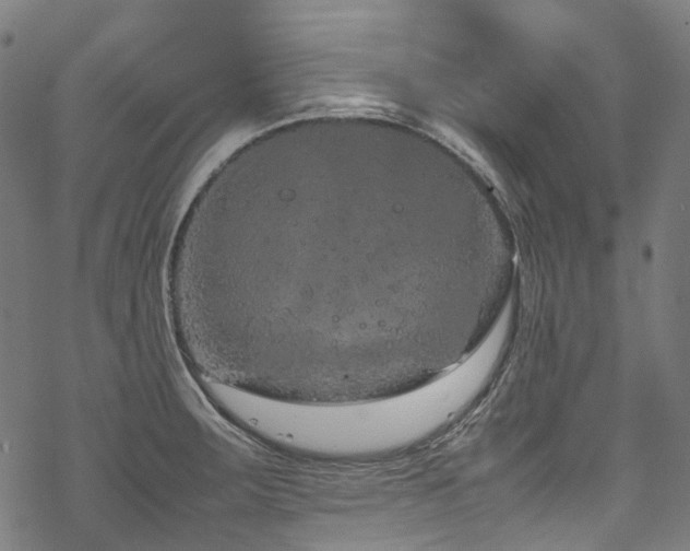 X0000070191283200605261148