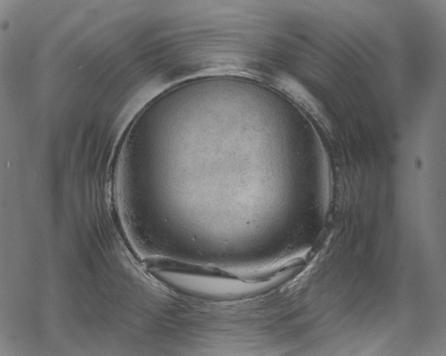 X0000070191284200605261148