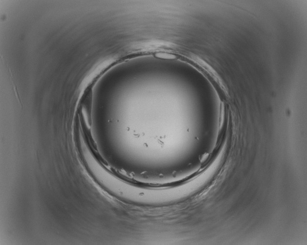 X0000070191285200605261148