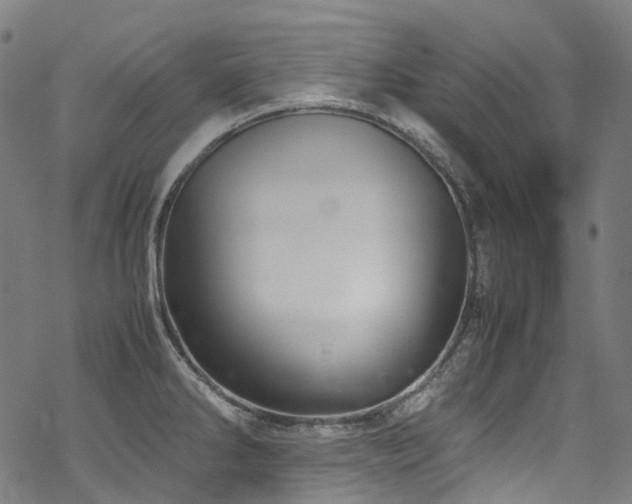 X0000070191286200605261148