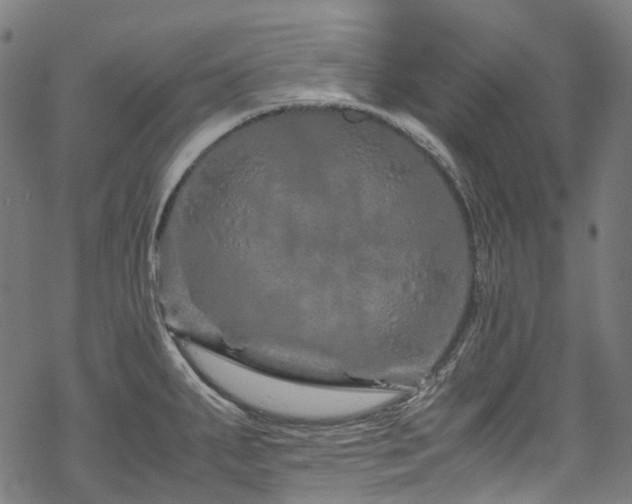 X0000070191287200605261148