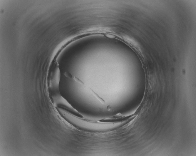 X0000070191288200605261148