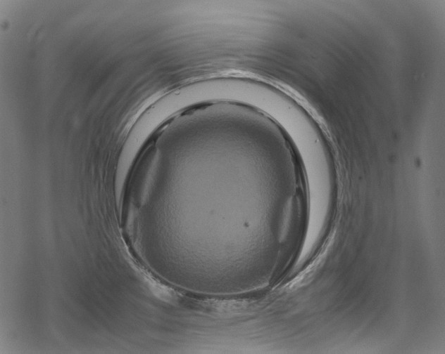 X0000070191289200605261148