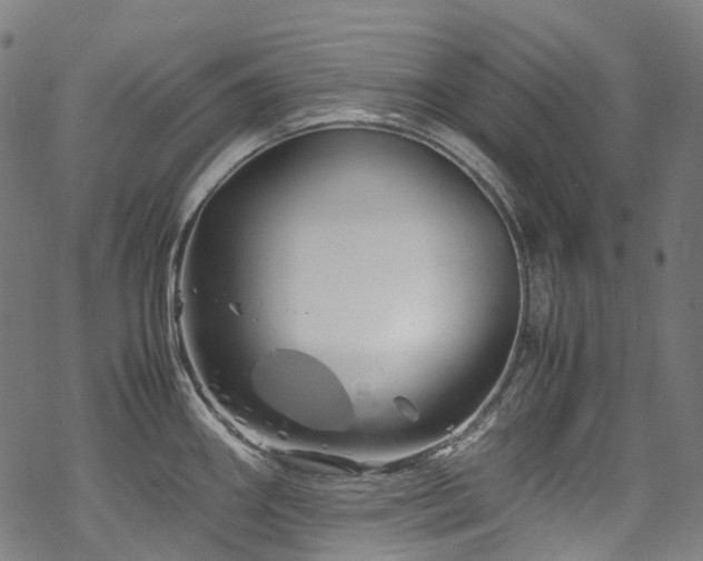 X0000070191290200605261148