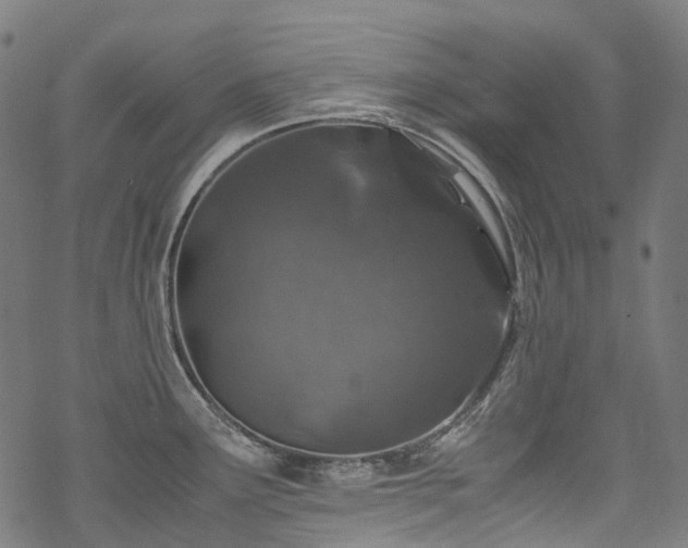 X0000070191291200605261148