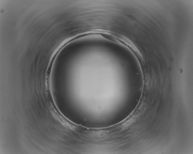 X0000070191292200605261148