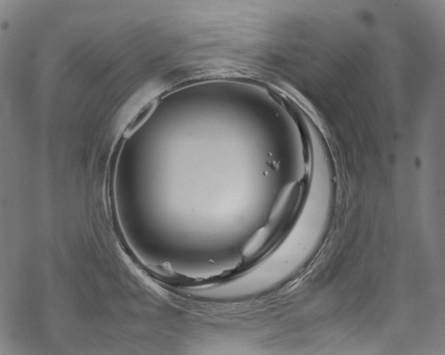 X0000070191293200605261148