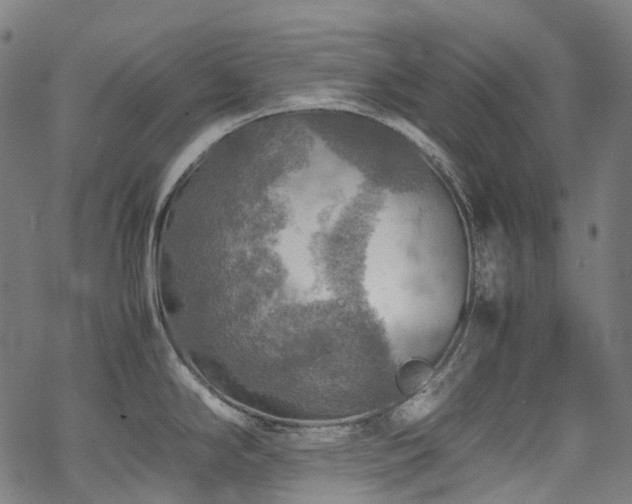 X0000070191294200605261148