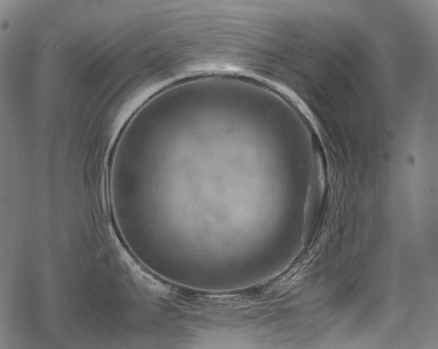 X0000070191295200605261148