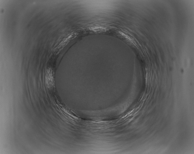 X0000070191298200605261147