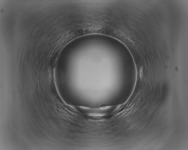 X0000070191299200605261147