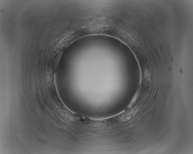 X0000070191300200605261147