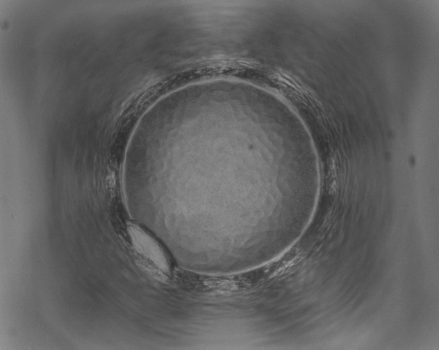 X0000070191302200605261147