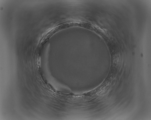 X0000070191303200605261147