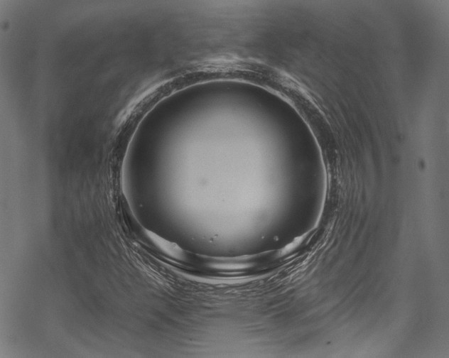 X0000070191304200605261147