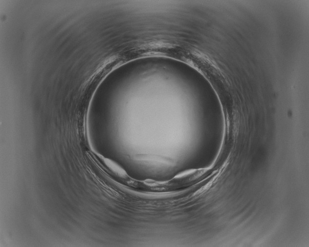 X0000070191305200605261147