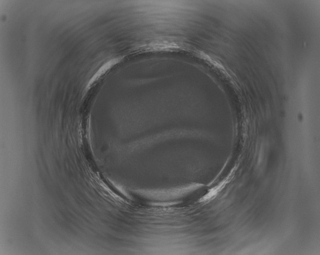 X0000070191306200605261147